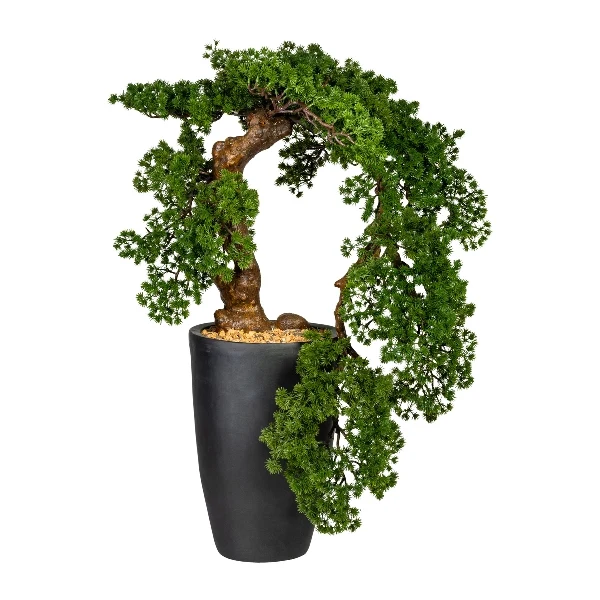 Gasper Bonsai Artificiale Larch Han Kengai H90 cm con Vaso