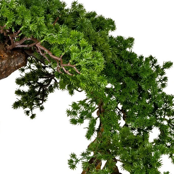 Gasper Bonsai Artificiale Larch Han Kengai H90 cm con Vaso