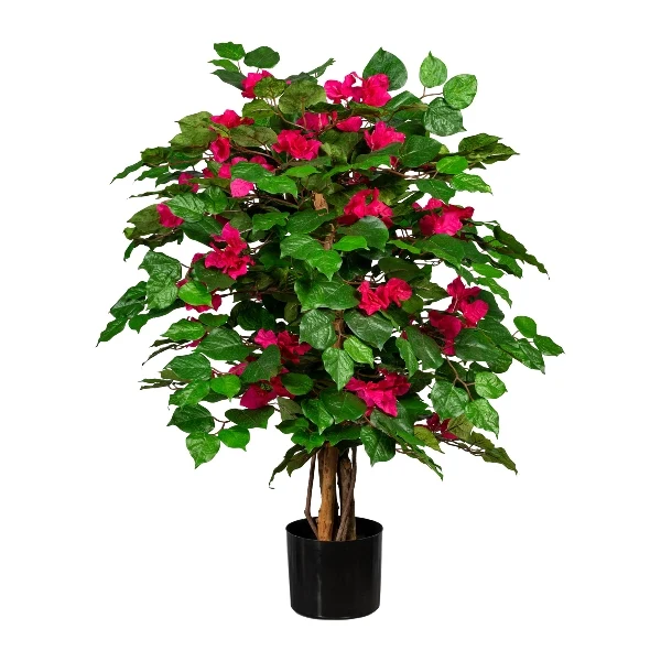 Gasper Pianta di Bougainvillea 450 foglie H100 cm
