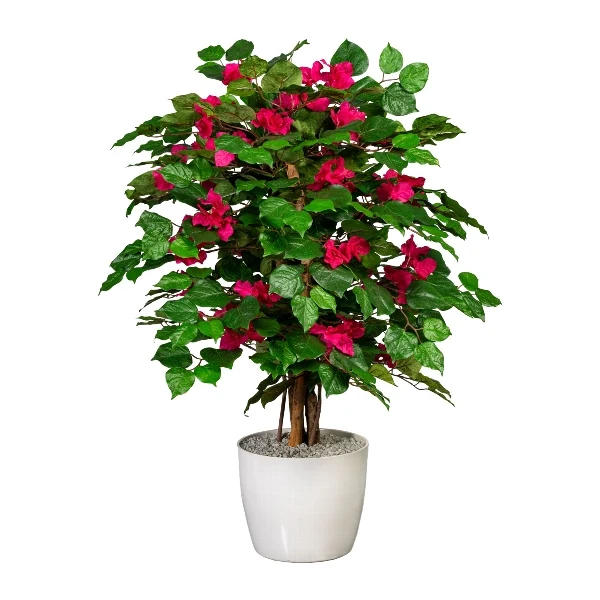 Gasper Pianta di Bougainvillea 450 foglie H100 cm
