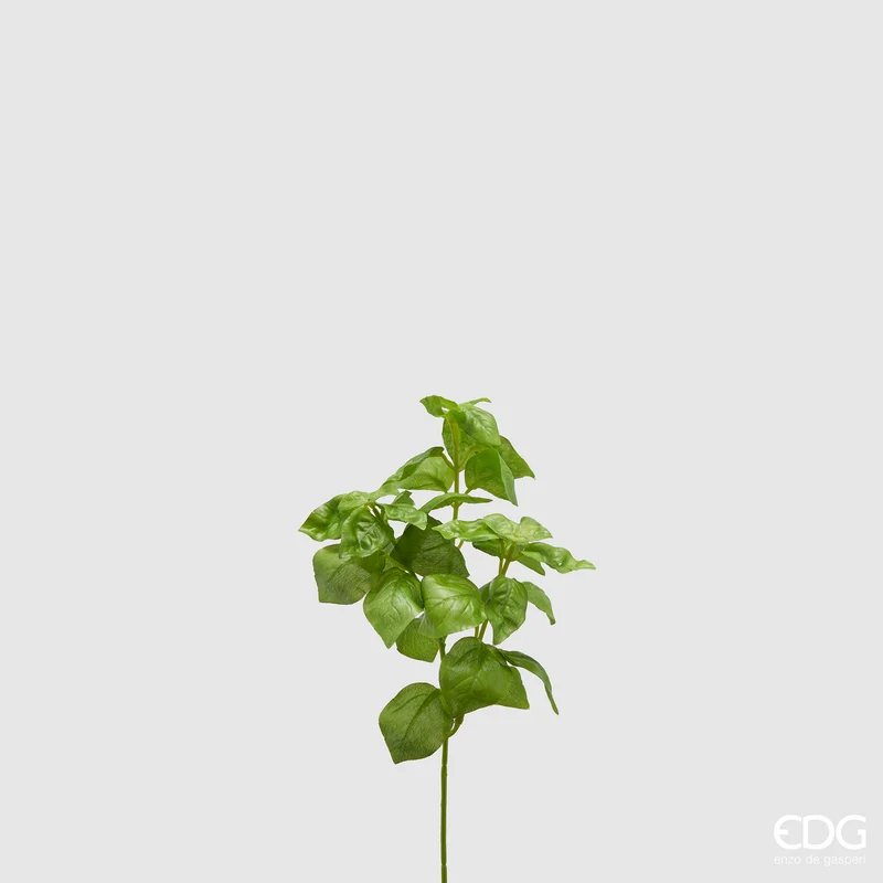 EDG Enzo De Gasperi Ramo di Basilico H28 cm