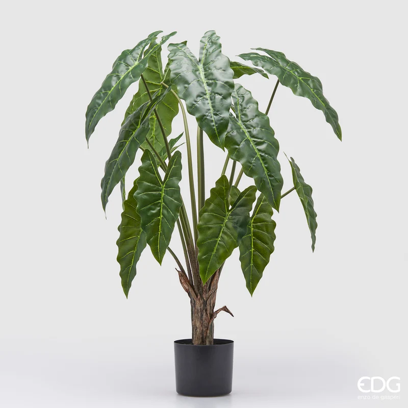 EDG Enzo De Gasperi Pianta Artificiale Calathea con Vaso H90 cm