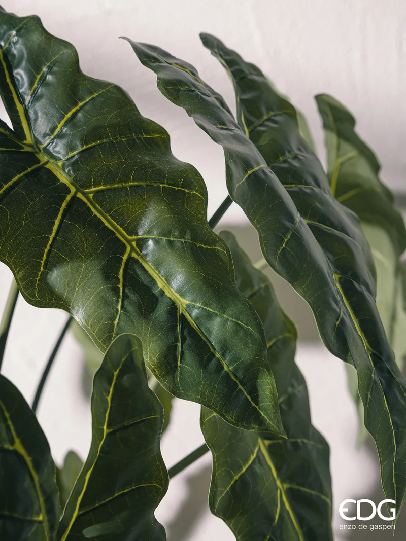 EDG Enzo De Gasperi Pianta Artificiale Calathea con Vaso H90 cm