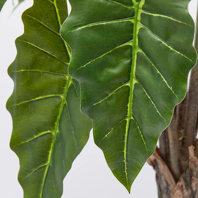 EDG Enzo De Gasperi Pianta Artificiale Calathea con Vaso H90 cm