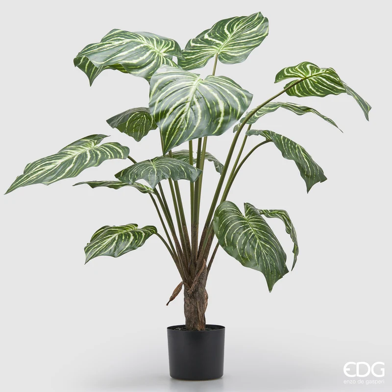 EDG Enzo De Gasperi Pianta Artificiale Calathea con Vaso H100 cm