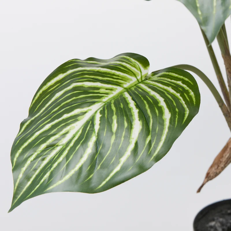 EDG Enzo De Gasperi Pianta Artificiale Calathea con Vaso H100 cm