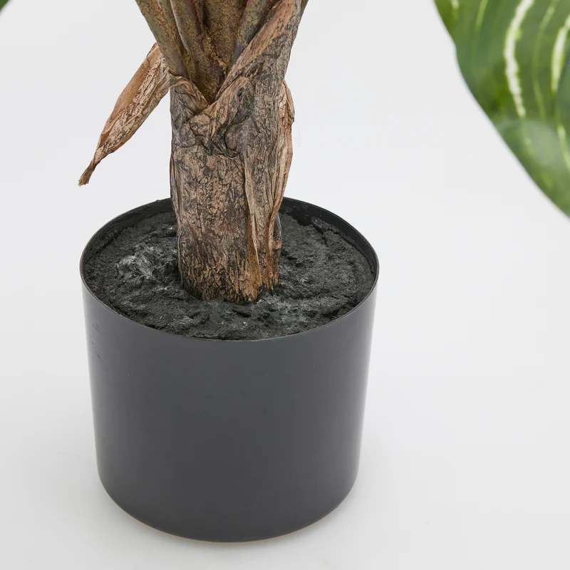 EDG Enzo De Gasperi Pianta Artificiale Calathea con Vaso H100 cm