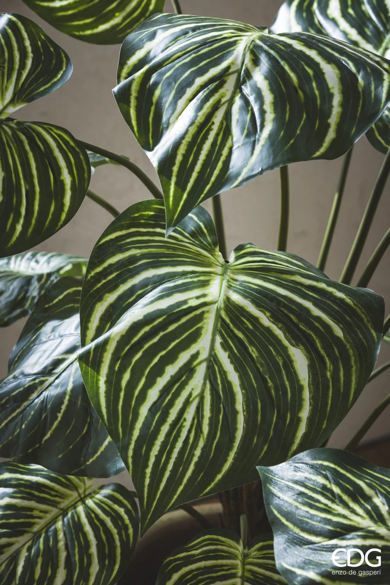 EDG Enzo De Gasperi Pianta Artificiale Calathea con Vaso H100 cm