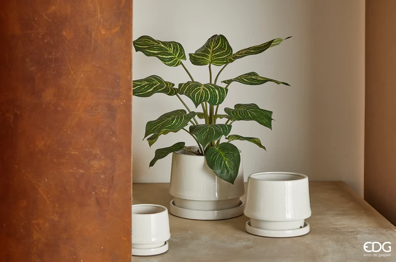 EDG Enzo De Gasperi Pianta Artificiale Calathea con Vaso H100 cm