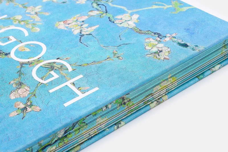 Ippocampo Edizioni Libro Van Gogh L'arte + Grande