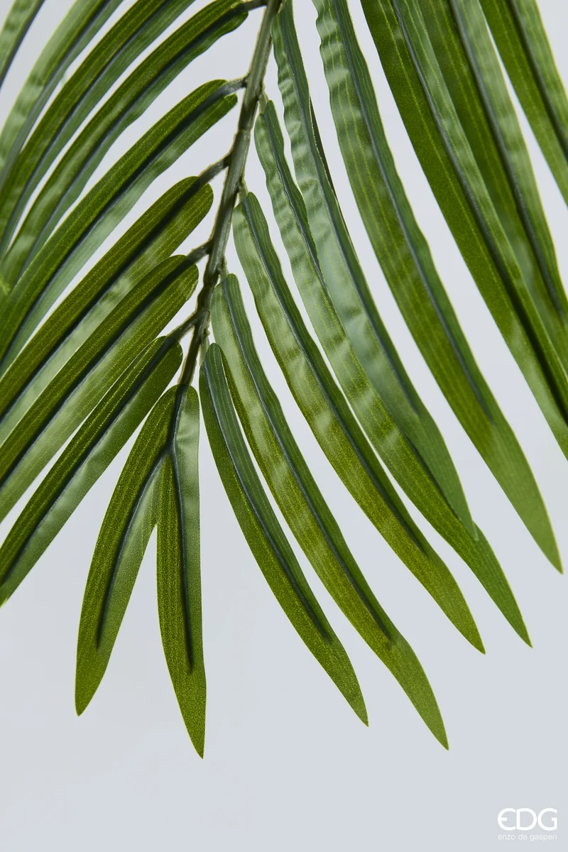 EDG Enzo De Gasperi Pianta Artificiale Palma Areca Vogue con Vaso H183 cm