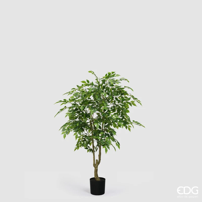EDG Enzo De Gasperi Pianta Artificiale Ficus Beniamino Vogue con Vaso H156 cm