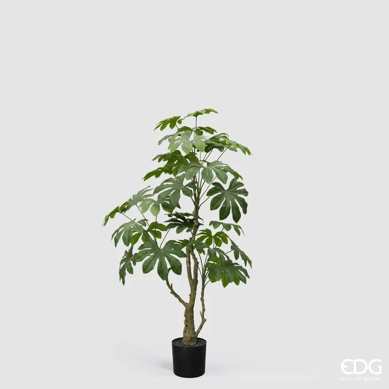 EDG Enzo De Gasperi Pianta Artificiale Aralia Vogue con Vaso H144 cm