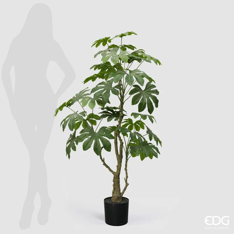 EDG Enzo De Gasperi Pianta Artificiale Aralia Vogue con Vaso H144 cm