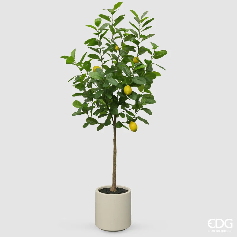 EDG Enzo De Gasperi Pianta Artificiale Limone Vogue con Vaso H160 cm