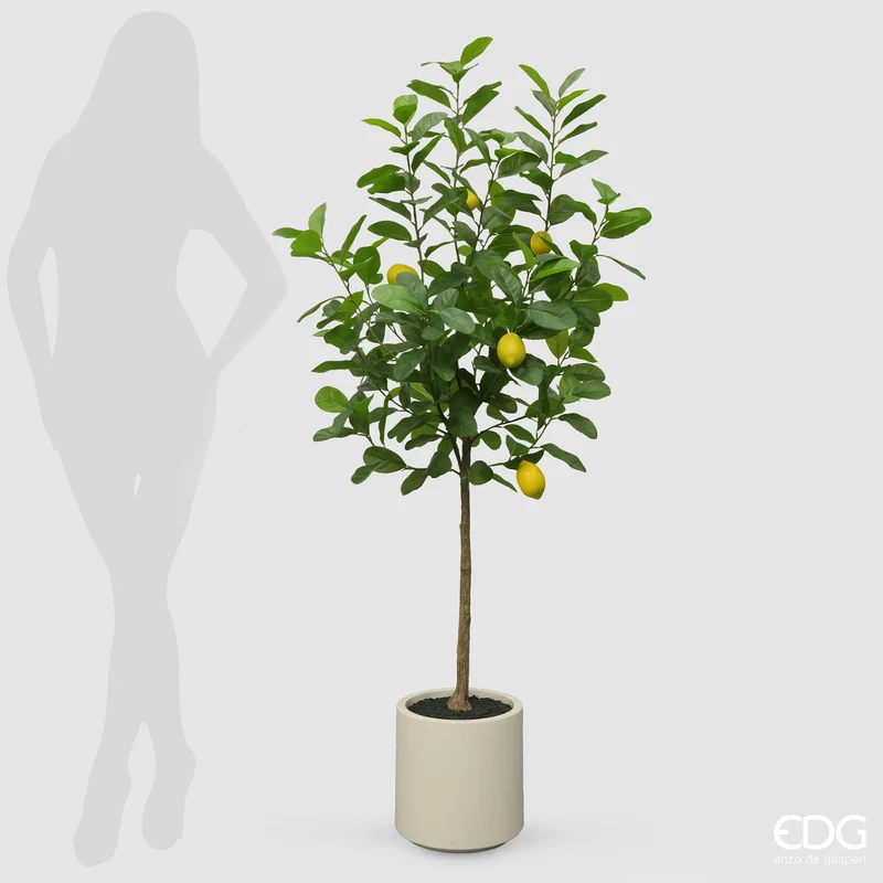 EDG Enzo De Gasperi Pianta Artificiale Limone Vogue con Vaso H160 cm