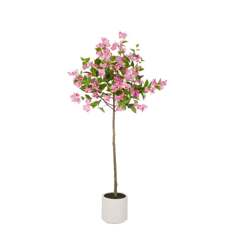 Gasper Albero di Bouganville H150 cm con Vaso