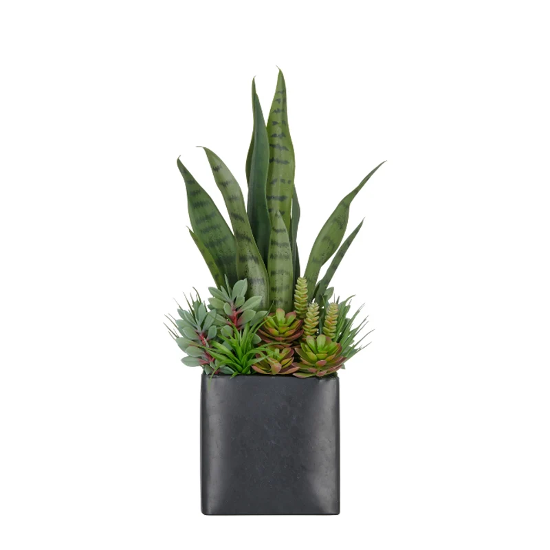 Gasper Composizione di piante grasse H55 cm con Vaso in Metallo
