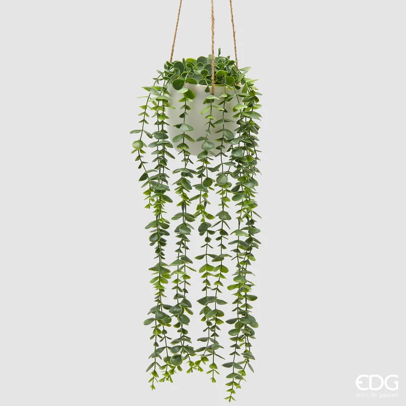 EDG Enzo De Gasperi Eucalipto Cadente da Appendere H40 cm