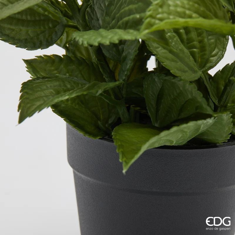 EDG Enzo De Gasperi Pianta Artificiale Lavanda con Foglie H44 cm