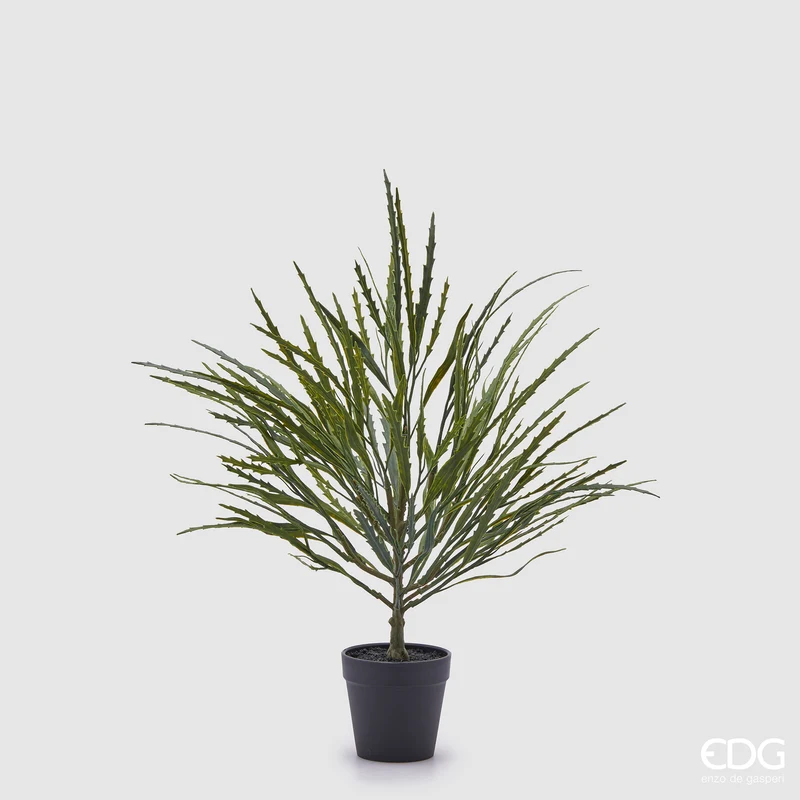 EDG Enzo De Gasperi Pianta Artificiale Epifillo con Vaso H50 cm