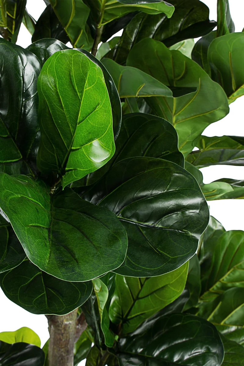 Andrea Bizzotto Pianta Artificiale Ficus Lyrata con Vaso 153 foglie H190 cm