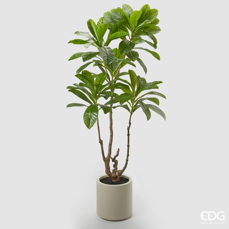 EDG Enzo De Gasperi Pianta Artificiale Camelia Carinata con Vaso H185 cm