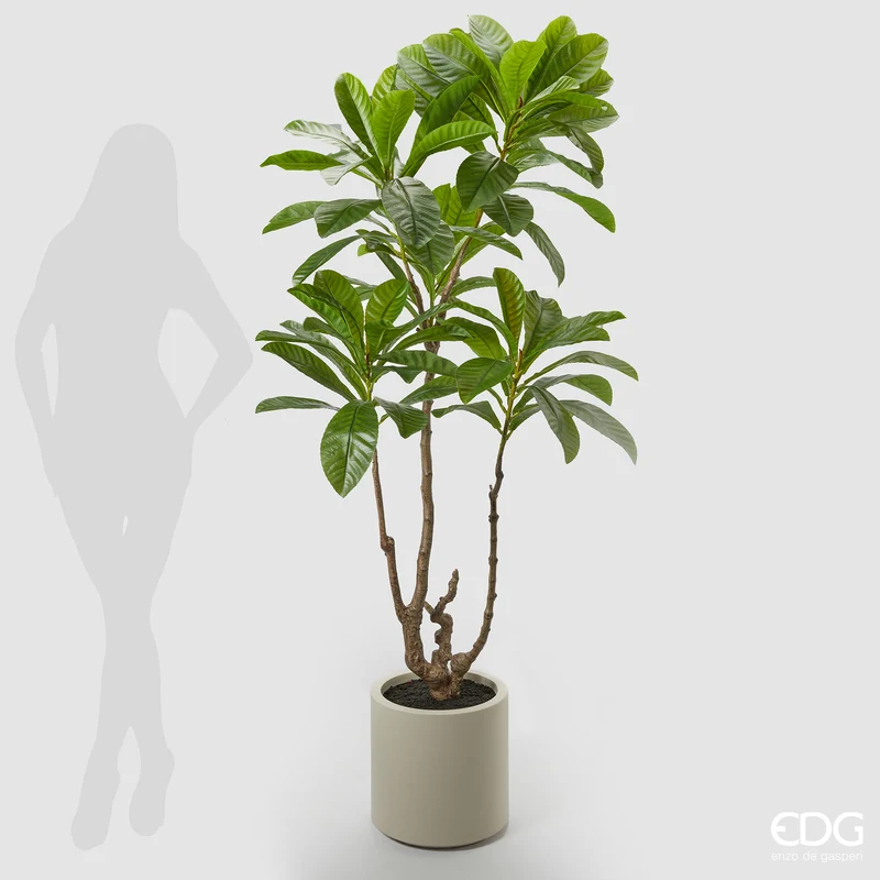 EDG Enzo De Gasperi Pianta Artificiale Camelia Carinata con Vaso H185 cm