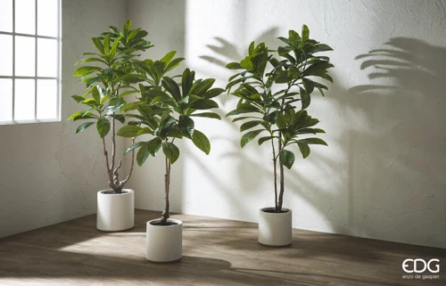 EDG Enzo De Gasperi Pianta Artificiale Camelia Carinata con Vaso H185 cm
