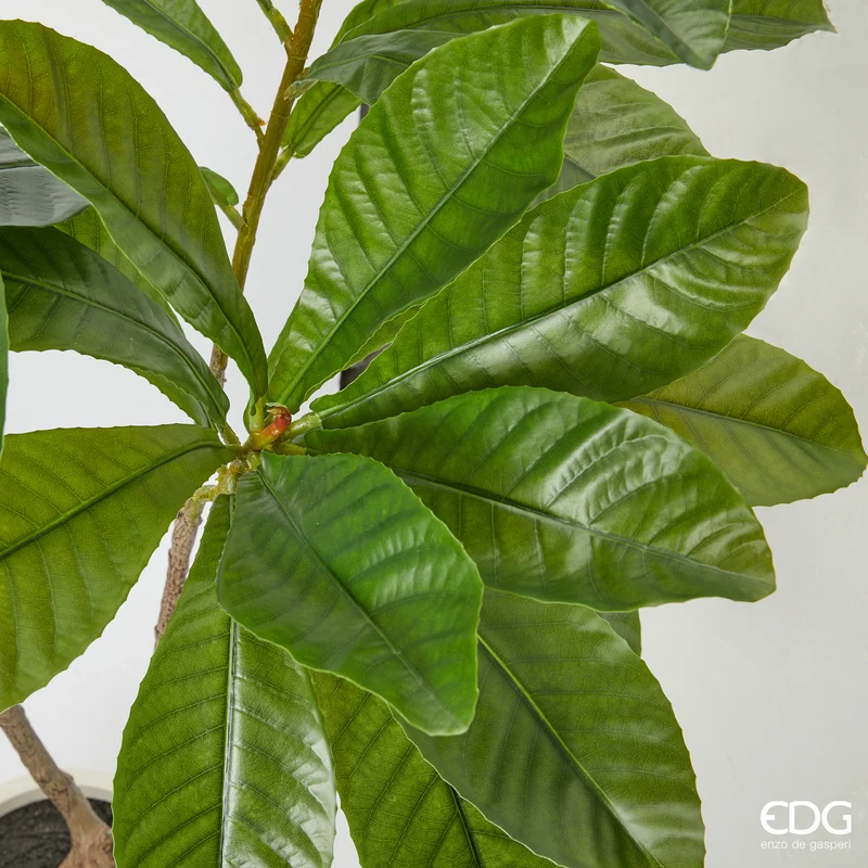 EDG Enzo De Gasperi Pianta Artificiale Camelia Carinata con Vaso H185 cm