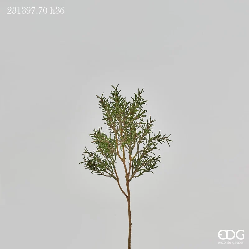 EDG Enzo De Gasperi Ramo di Rosmarino Real H36 cm