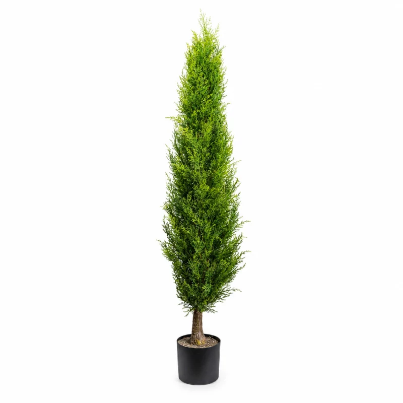 Gasper Pianta di Thuja Emerald con vaso H150 cm Verde