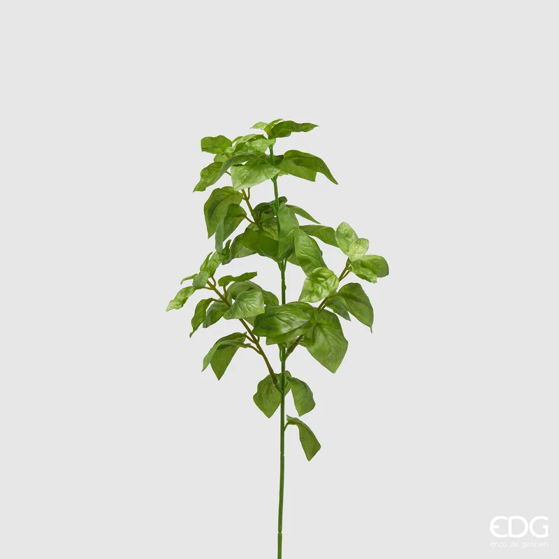 EDG Enzo De Gasperi Ramo di Basilico H38 cm