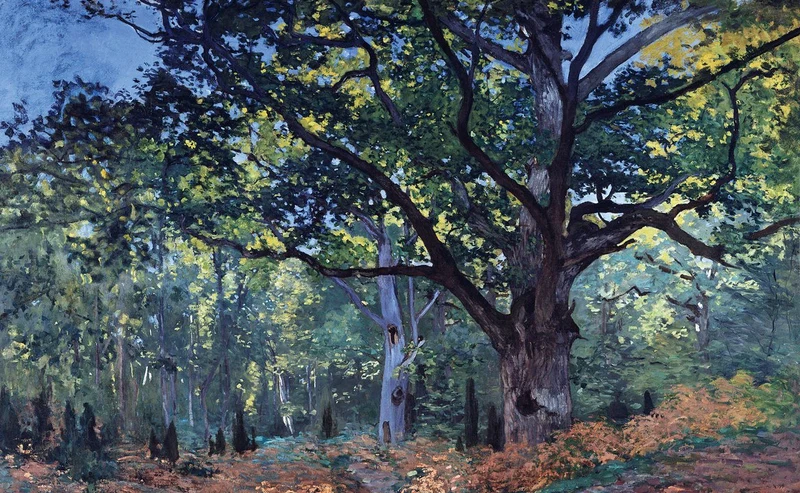 Ippocampo Edizioni Libro Monet L'Arte + Grande