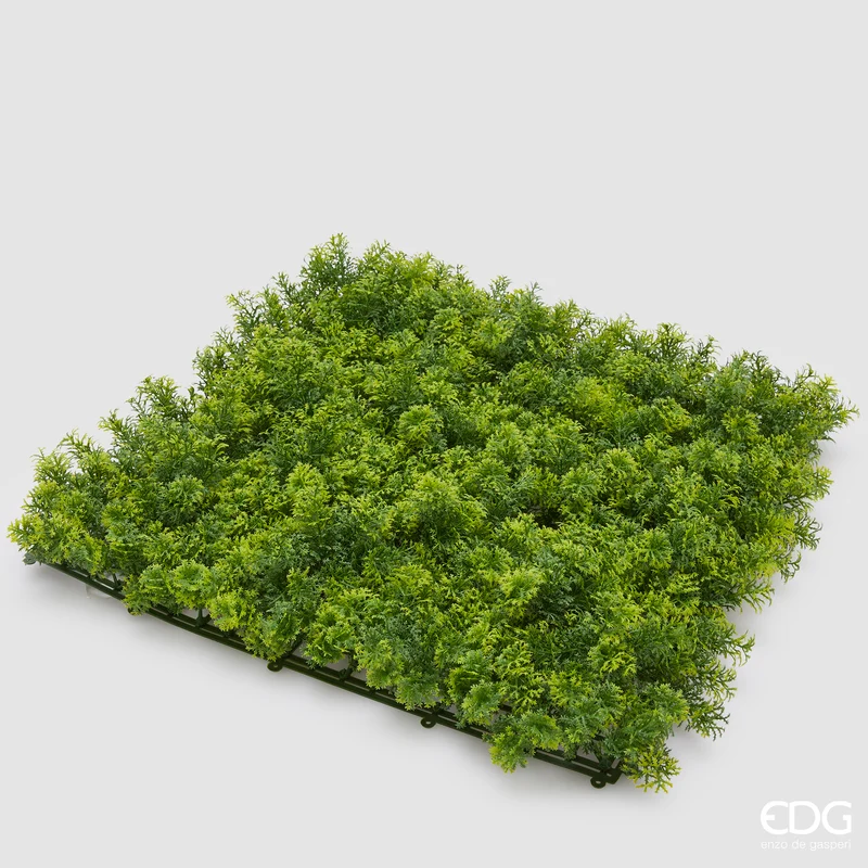 EDG Enzo De Gasperi Ciuffi di Muschio in Siepe 50x50 cm Verde