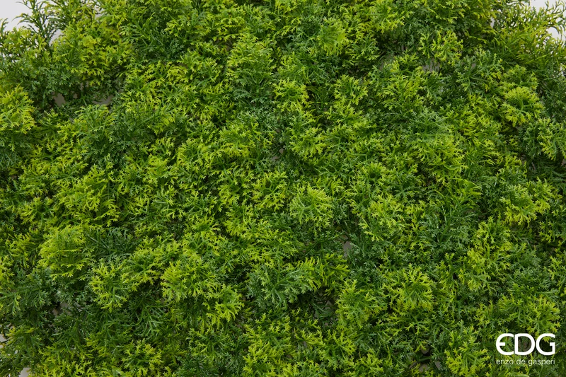 EDG Enzo De Gasperi Ciuffi di Muschio in Siepe 50x50 cm Verde