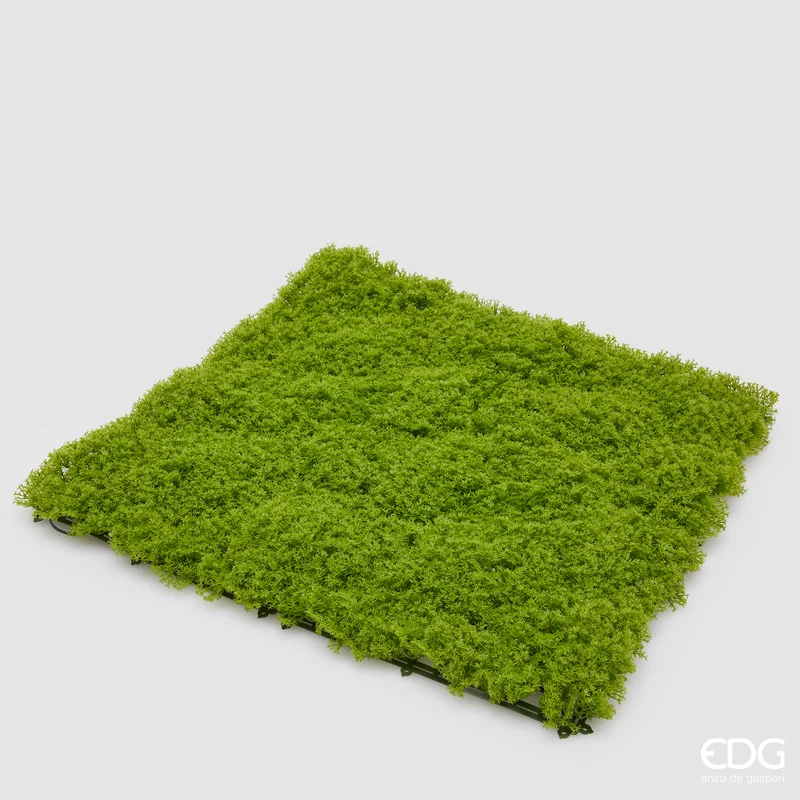EDG Enzo De Gasperi Muschio in Siepe 50x50 cm Verde Naturale