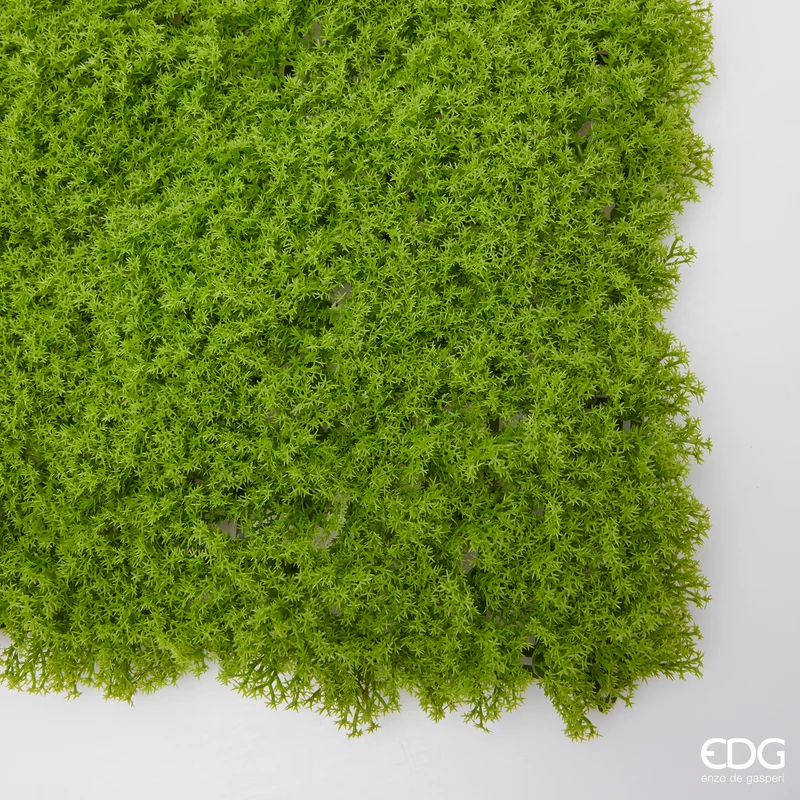 EDG Enzo De Gasperi Muschio in Siepe 50x50 cm Verde Naturale