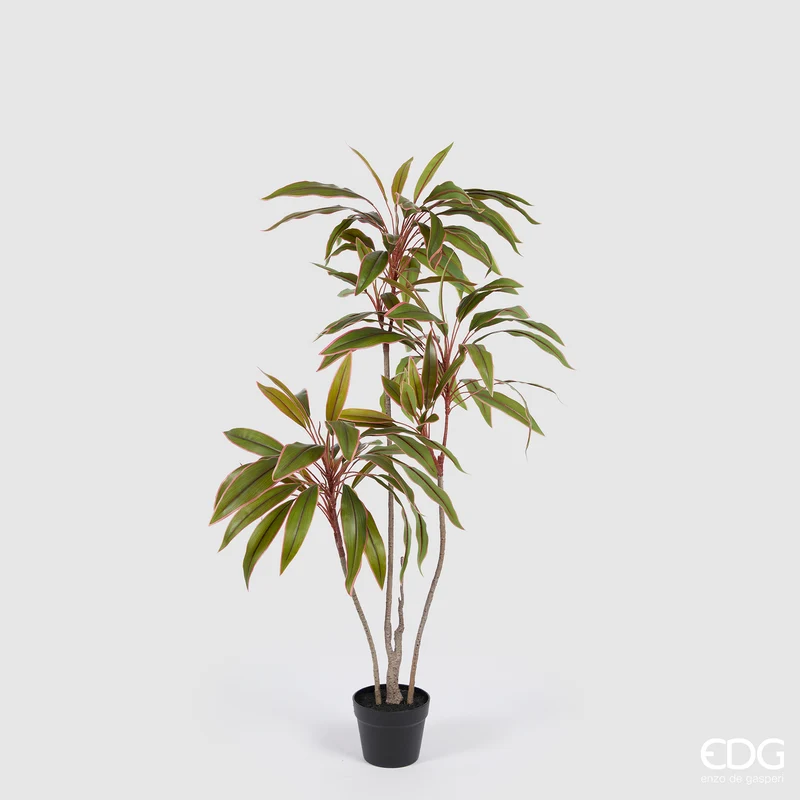 EDG Enzo De Gasperi Pianta Artificiale Dracena con Vaso H120 cm