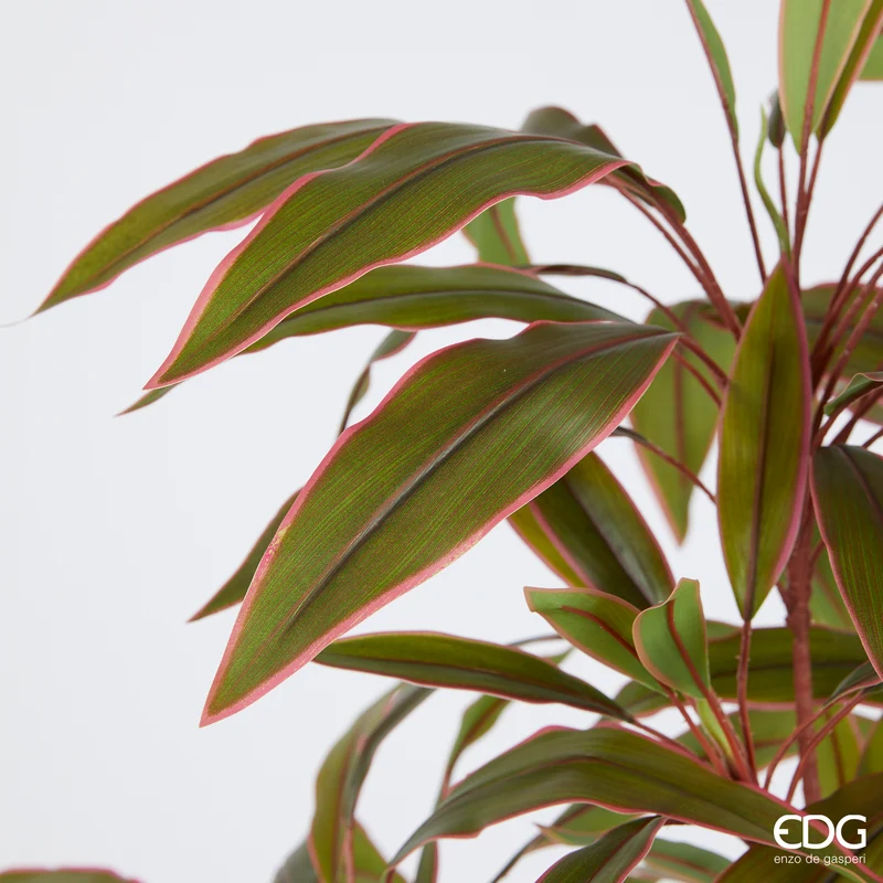 EDG Enzo De Gasperi Pianta Artificiale Dracena con Vaso H120 cm