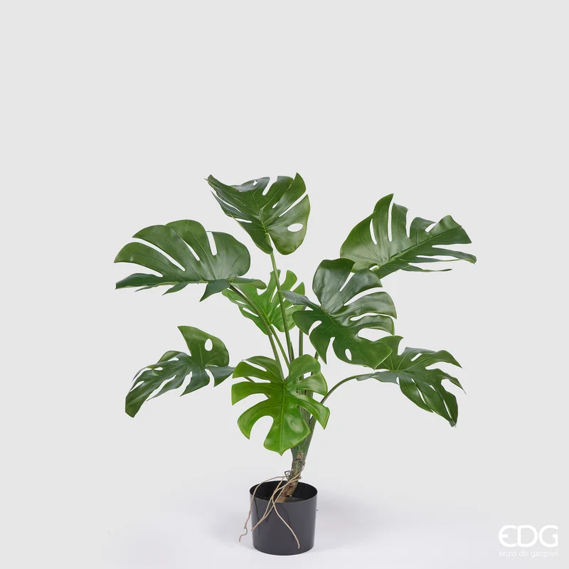 EDG Enzo De Gasperi Pianta Artificiale con Vaso Monstera H100 cm