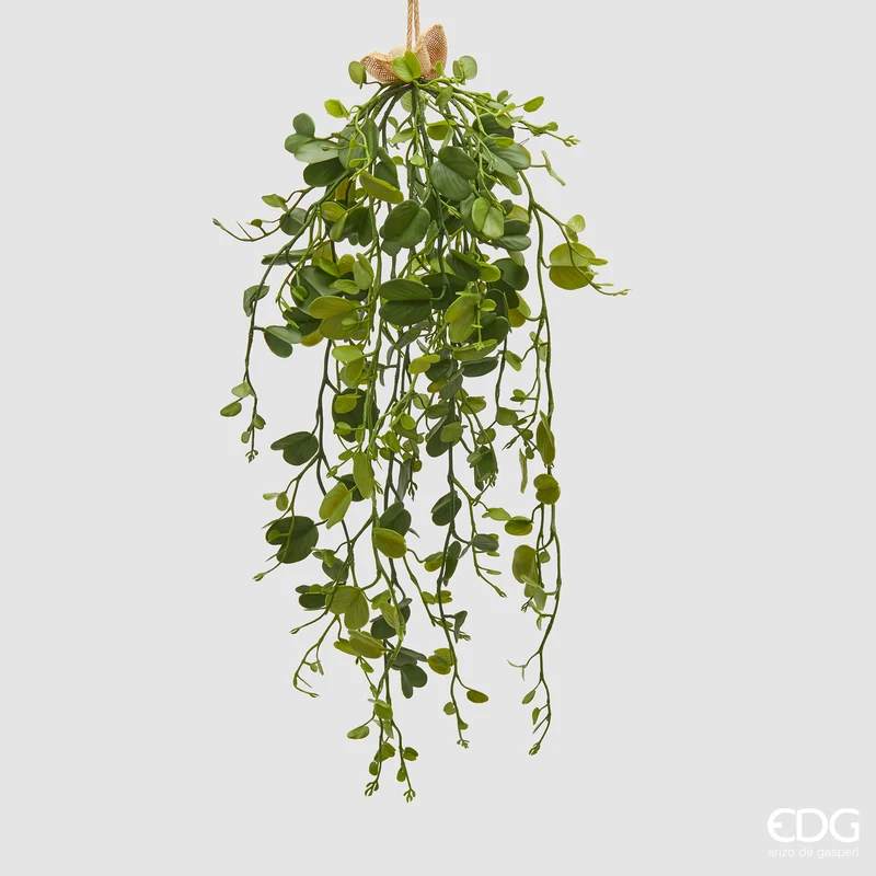 EDG Enzo De Gasperi Bauhinia Cadente Da Appendere H81 cm