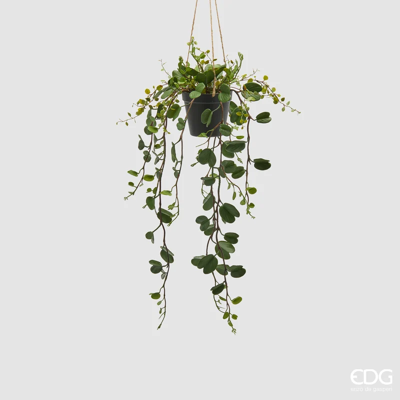 EDG Enzo De Gasperi Bauhinia con vaso Da Appendere H69 cm