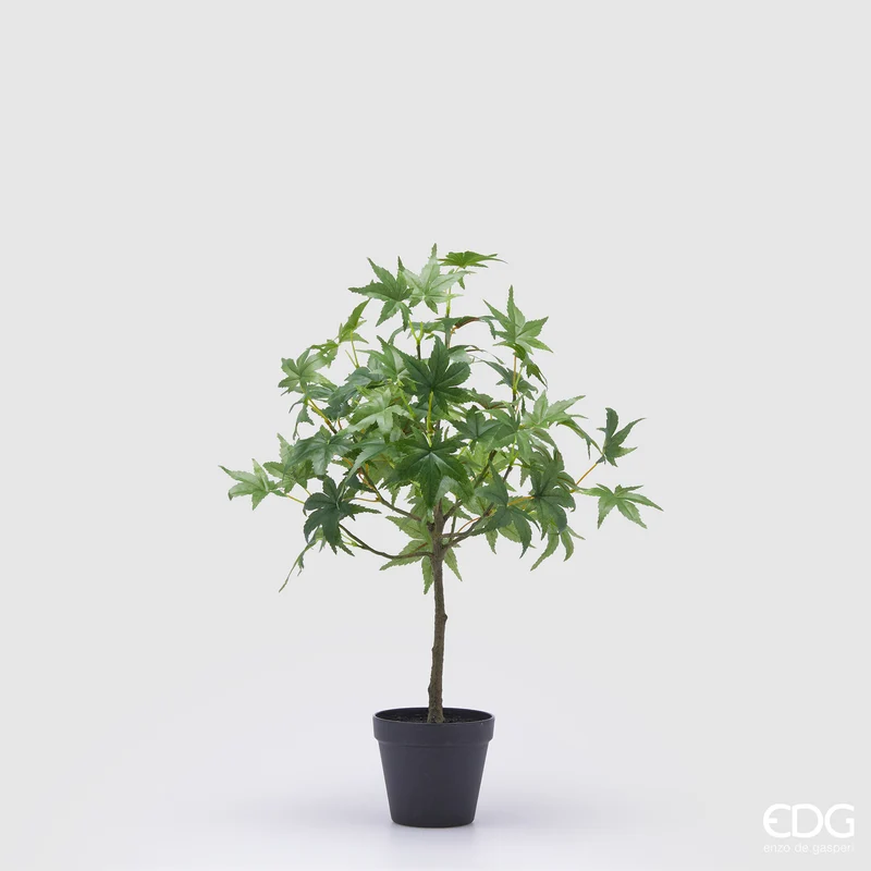EDG Enzo De Gasperi pianta di Acero Verde Artificiale con Vaso H56 cm