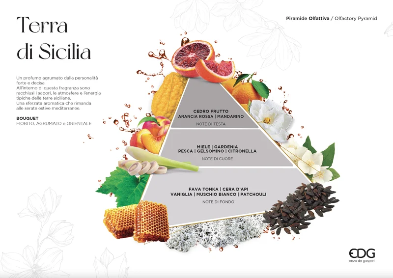 EDG Enzo De Gasperi Diffusore con Bamboo Terra di Sicilia 250 ml