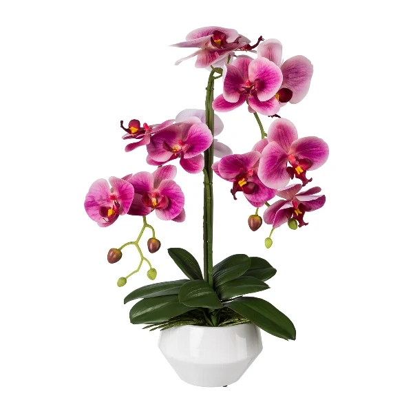 Gasper Orchidea Phalaenopsis con vaso in ceramica H53 cm Fucsia