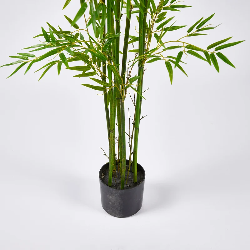 EDG Enzo De Gasperi Pianta Bamboo con vaso H 210 cm Verde Natural