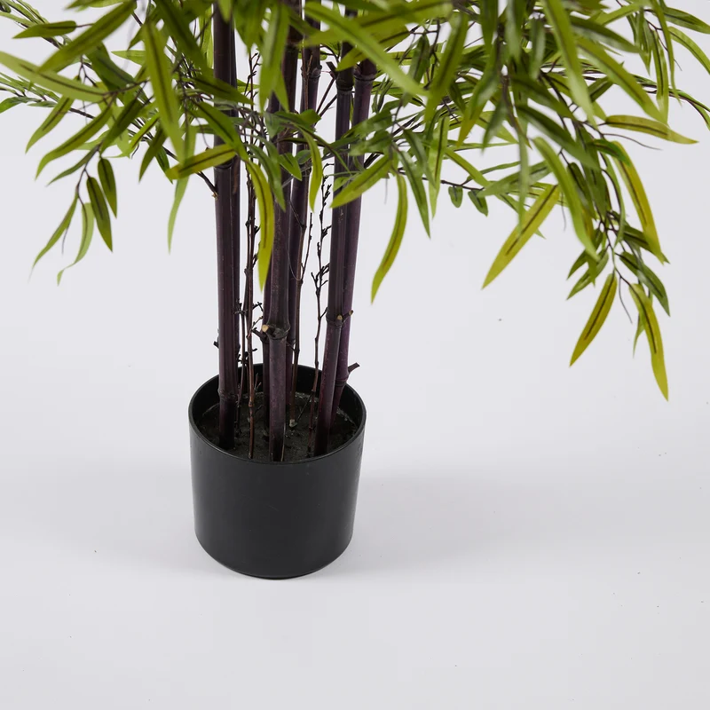 EDG Enzo De Gasperi Pianta Bamboo con vaso H 150 cm Verde Scuro
