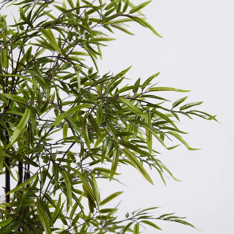 EDG Enzo De Gasperi Pianta Bamboo con vaso H 150 cm Verde Scuro