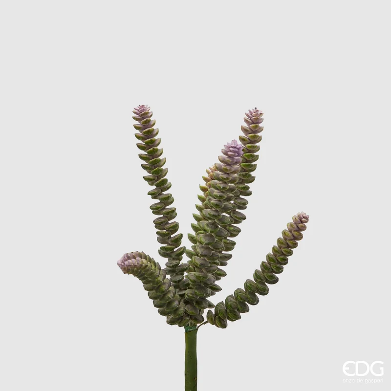 EDG Enzo De Gasperi Ramo Artificiale Crassula Pagoda Olis H28 cm Viola Sfumato